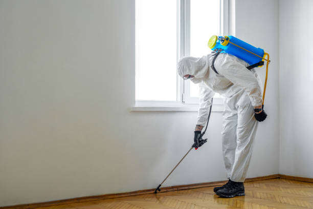 Best Commercial Pest Control  in Uniontown, PA